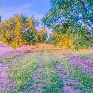 Meet your Posher, Jose luis